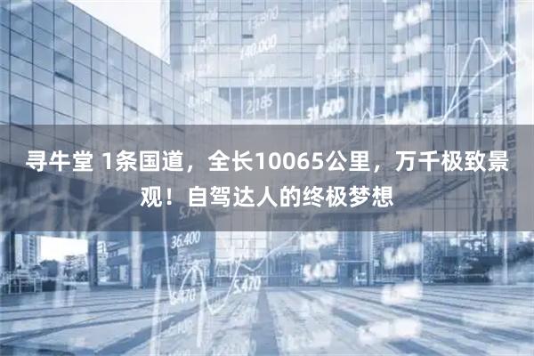 寻牛堂 1条国道，全长10065公里，万千极致景观！自驾达人的终极梦想
