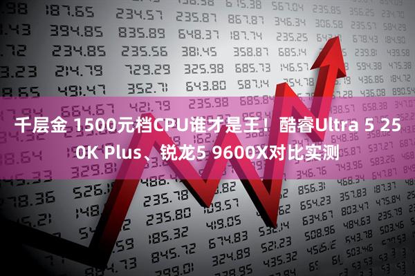 千层金 1500元档CPU谁才是王！酷睿Ultra 5 250K Plus、锐龙5 9600X对比实测