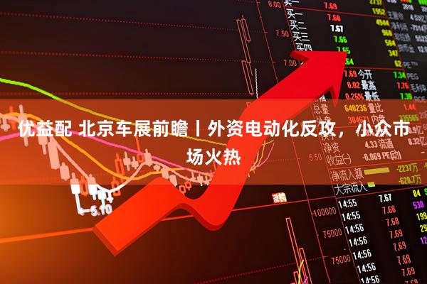 优益配 北京车展前瞻丨外资电动化反攻，小众市场火热