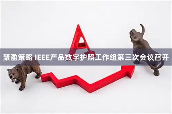 聚盈策略 IEEE产品数字护照工作组第三次会议召开