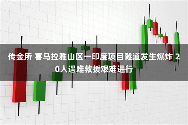 传金所 喜马拉雅山区一印度项目隧道发生爆炸 20人遇难救援艰难进行